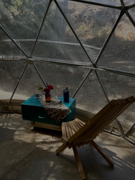 WhatsApp Image 2023-10-31 at 08.37.13.jpeg